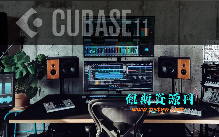 宿主机架软件:Cubase LE AI Elements 11下载(355 MB)佩斯音频工作室独家