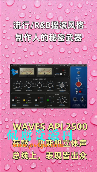 佩斯音频最新教程中英文翻译对比Waves API 2500模拟硬件压缩器使用教程(最经典压缩器)
