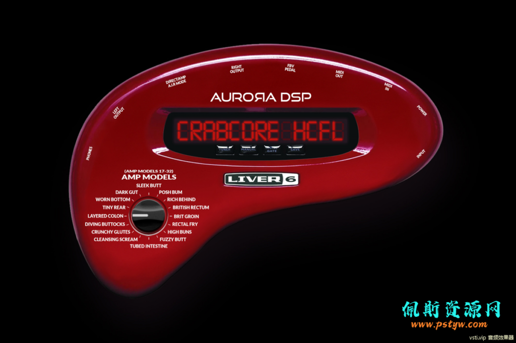 Aurora DSP Liver6 为您的吉他推出了一款时光机插图1